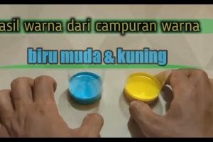 Citarasa D’ Biru Kuning