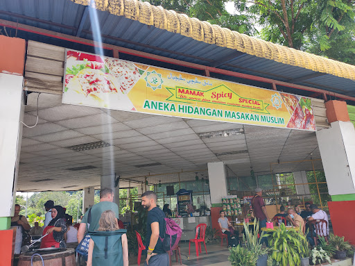 Mamak's Spicy Special