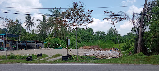Ary Kari Kepala Ikan