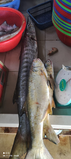 Usen Maju Gulai Ikan - Teluk Kumbar Usen Maju Gulai Ikan - Teluk Kumbar