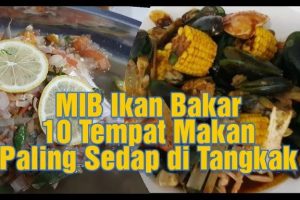 MIB Man Ikan Bakar